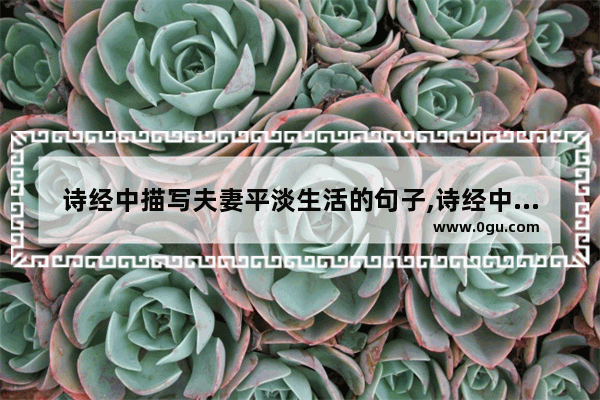 诗经中描写夫妻平淡生活的句子,诗经中夫妇幸福美满的句子