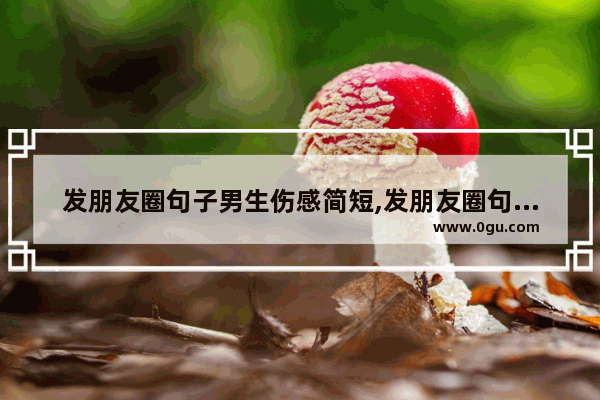 发朋友圈句子男生伤感简短,发朋友圈句子男生伤感简短