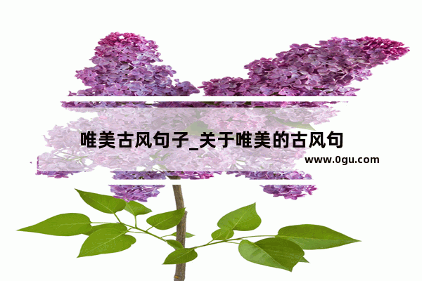 唯美古风句子_关于唯美的古风句