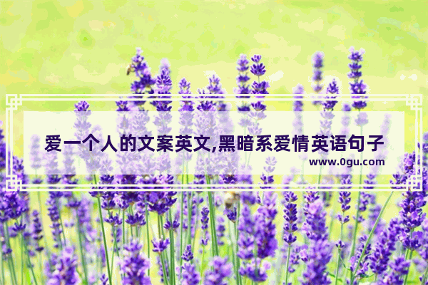 爱一个人的文案英文,黑暗系爱情英语句子