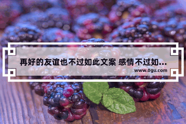 再好的友谊也不过如此文案 感情不过如此的文言文句子