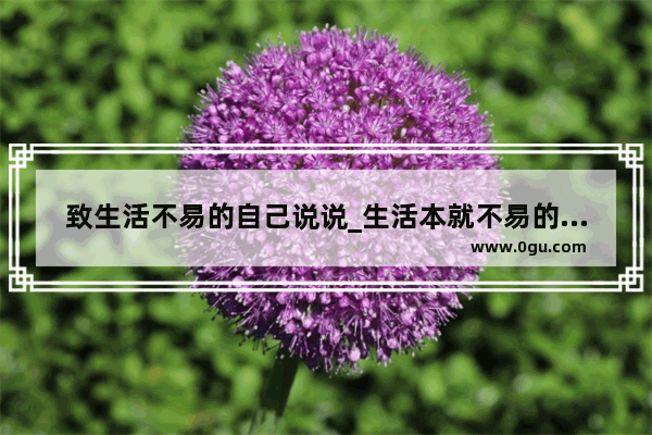 致生活不易的自己说说_生活本就不易的感慨句子