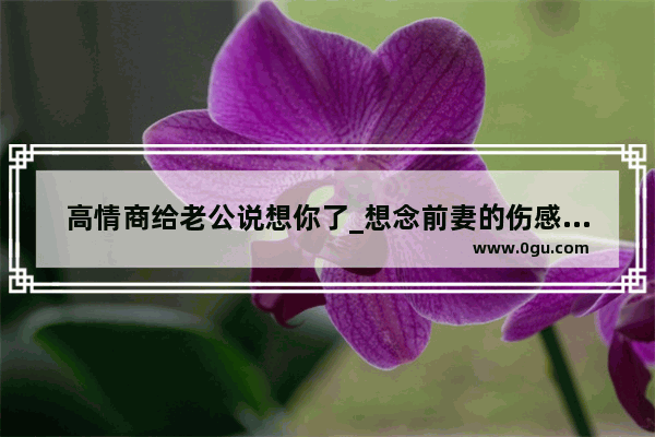 高情商给老公说想你了_想念前妻的伤感说说