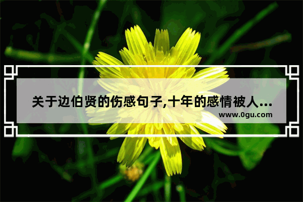关于边伯贤的伤感句子,十年的感情被人拆散的句子