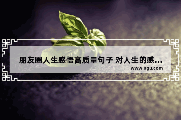 朋友圈人生感悟高质量句子 对人生的感悟评价句子
