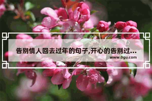 告别情人回去过年的句子,开心的告别过去感情的句子