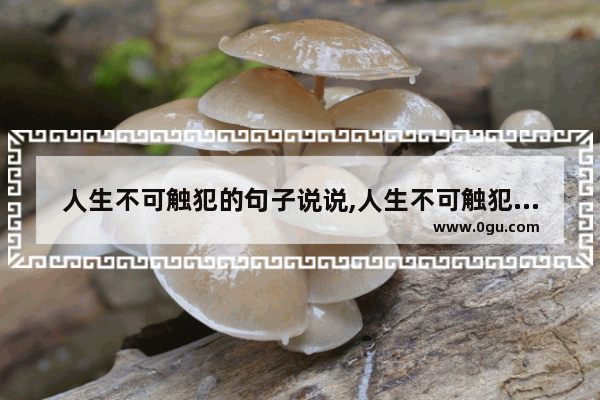 人生不可触犯的句子说说,人生不可触犯的句子说说