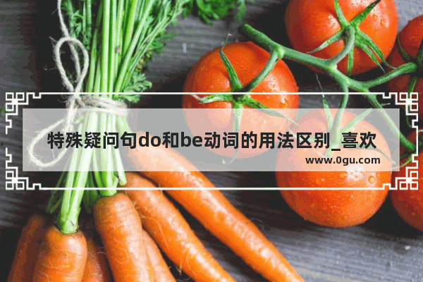 特殊疑问句do和be动词的用法区别_喜欢的意思是什么
