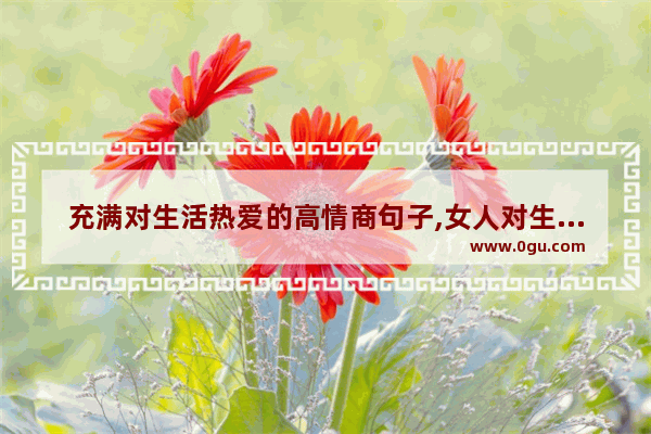充满对生活热爱的高情商句子,女人对生活热爱的句子