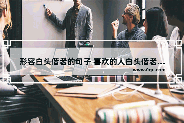 形容白头偕老的句子 喜欢的人白头偕老的句子
