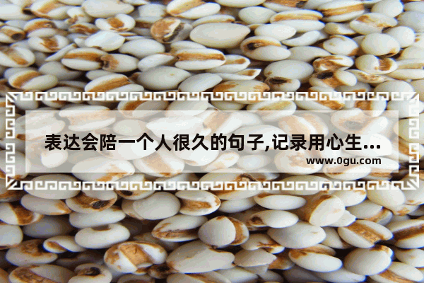 表达会陪一个人很久的句子,记录用心生活的句子
