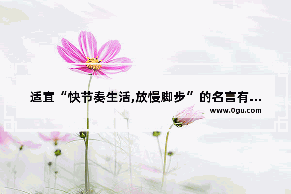 适宜“快节奏生活,放慢脚步”的名言有哪些,形容生活僵局的句子简短