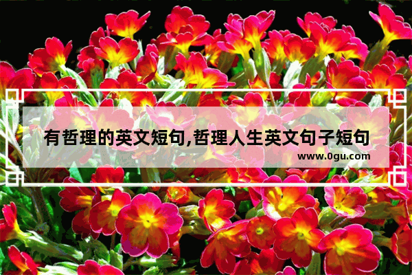 有哲理的英文短句,哲理人生英文句子短句