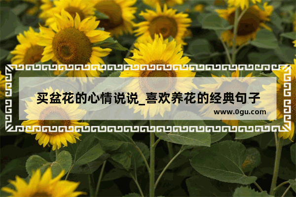 买盆花的心情说说_喜欢养花的经典句子