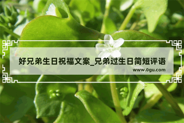 好兄弟生日祝福文案_兄弟过生日简短评语