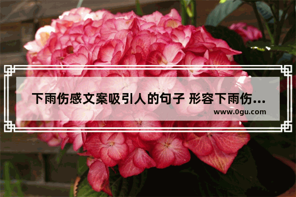 下雨伤感文案吸引人的句子 形容下雨伤感的美妙句子