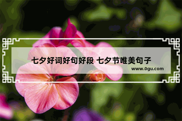 七夕好词好句好段 七夕节唯美句子