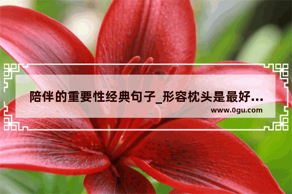陪伴的重要性经典句子_形容枕头是最好的陪伴的句子