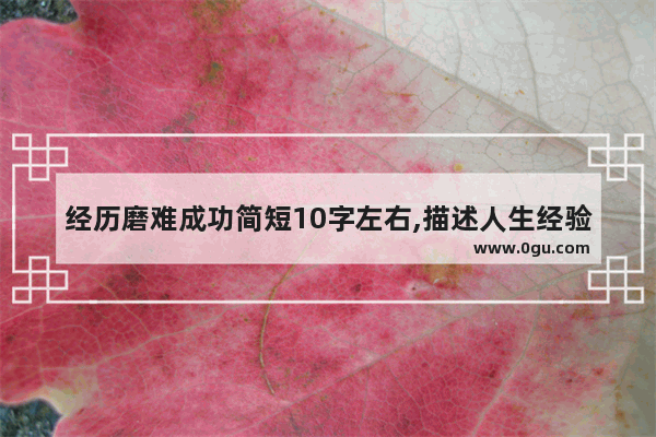 经历磨难成功简短10字左右,描述人生经验的句子简短