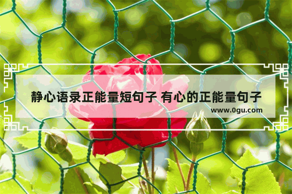 静心语录正能量短句子 有心的正能量句子