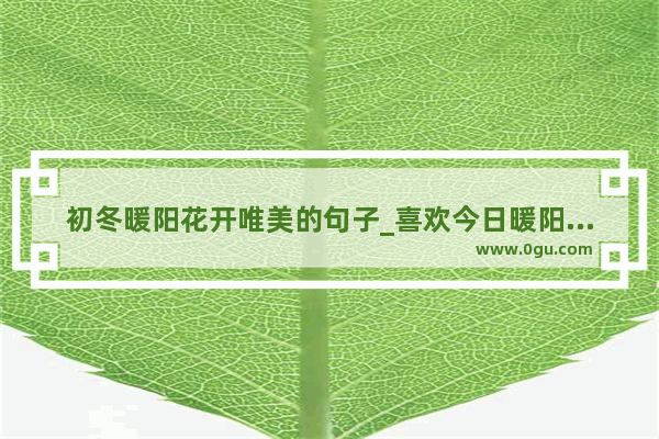 初冬暖阳花开唯美的句子_喜欢今日暖阳的句子说说