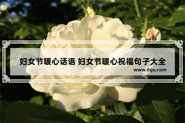 妇女节暖心话语 妇女节暖心祝福句子大全