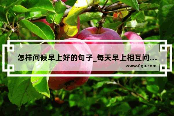 怎样问候早上好的句子_每天早上相互问候语句