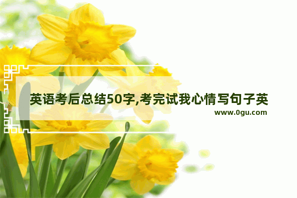 英语考后总结50字,考完试我心情写句子英语