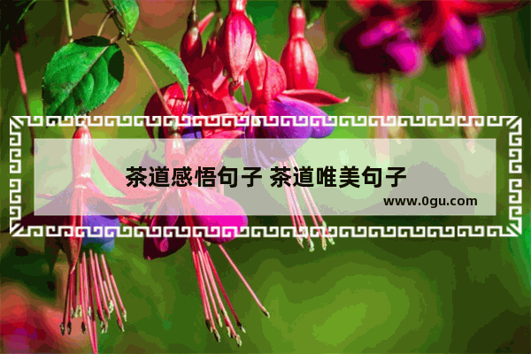 茶道感悟句子 茶道唯美句子
