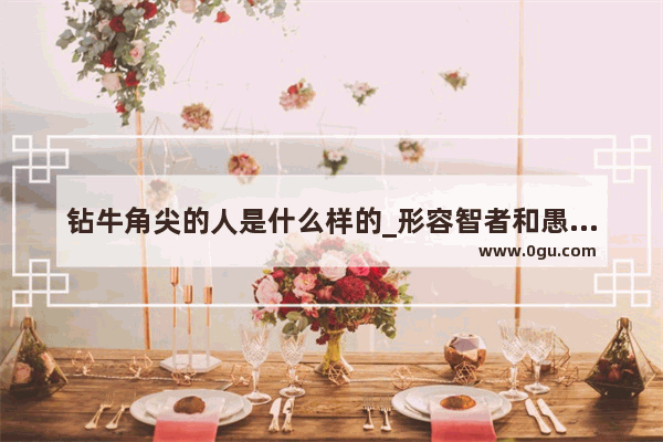 钻牛角尖的人是什么样的_形容智者和愚者做事不同的句子