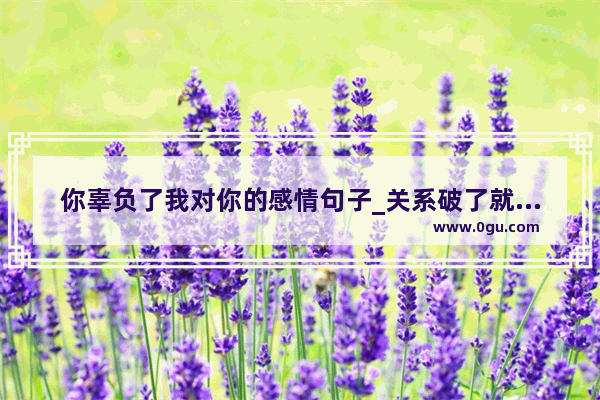 你辜负了我对你的感情句子_关系破了就不想联系的句子