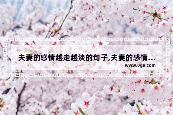 夫妻的感情越走越淡的句子,夫妻的感情越走越淡的句子