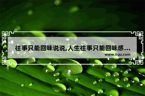 往事只能回味说说,人生往事只能回味感悟句子