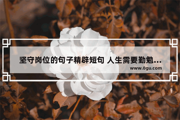 坚守岗位的句子精辟短句 人生需要勤勉坚守的句子