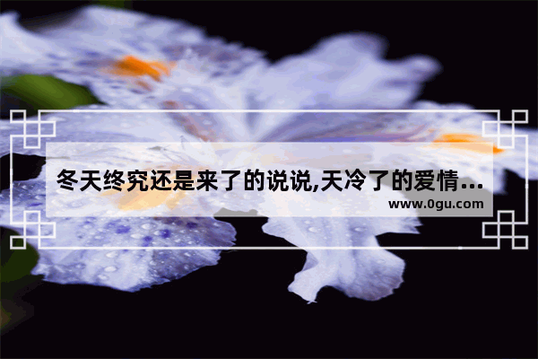 冬天终究还是来了的说说,天冷了的爱情句子简短