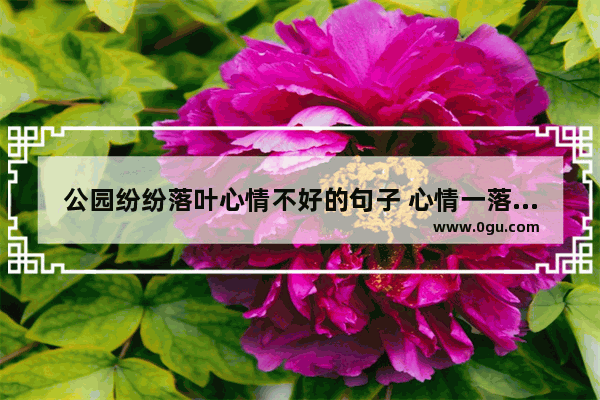 公园纷纷落叶心情不好的句子 心情一落千丈的句子
