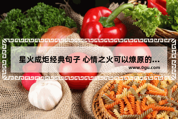 星火成炬经典句子 心情之火可以燎原的句子