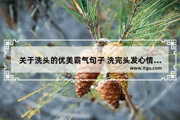关于洗头的优美霸气句子 洗完头发心情怎么形容句子