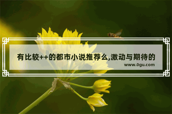 有比较++的都市小说推荐么,激动与期待的心情句子
