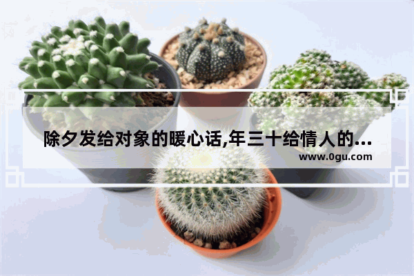 除夕发给对象的暖心话,年三十给情人的暖心句子