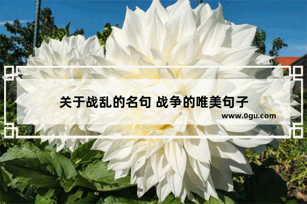 关于战乱的名句 战争的唯美句子