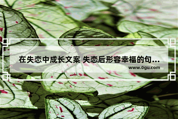 在失恋中成长文案 失恋后形容幸福的句子简短