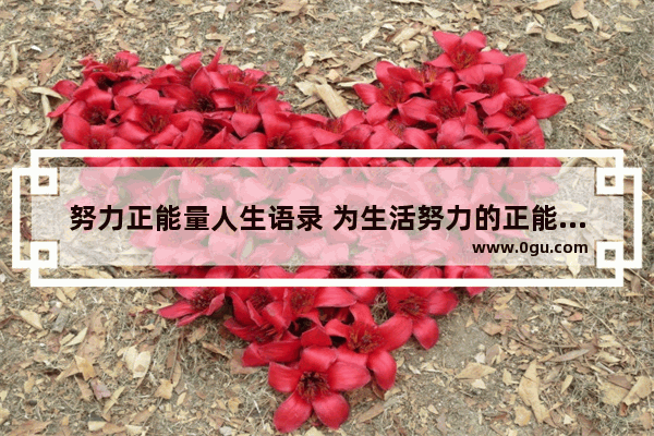 努力正能量人生语录 为生活努力的正能量句子