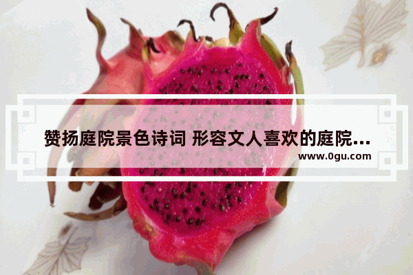 赞扬庭院景色诗词 形容文人喜欢的庭院的句子