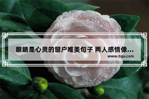 眼睛是心灵的窗户唯美句子 两人感情像窗户纸的句子