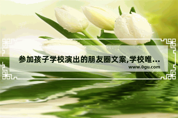 参加孩子学校演出的朋友圈文案,学校唯美的句子