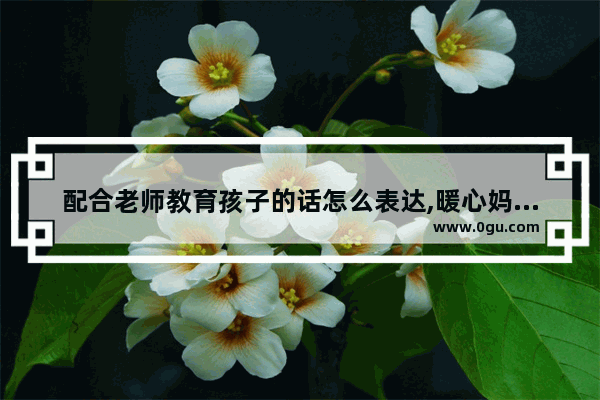 配合老师教育孩子的话怎么表达,暖心妈妈送小孩上学的句子