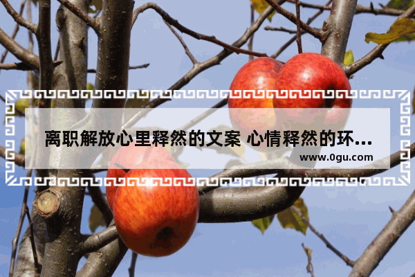 离职解放心里释然的文案 心情释然的环境描写句子