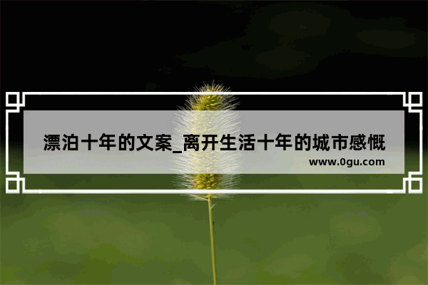漂泊十年的文案_离开生活十年的城市感慨
