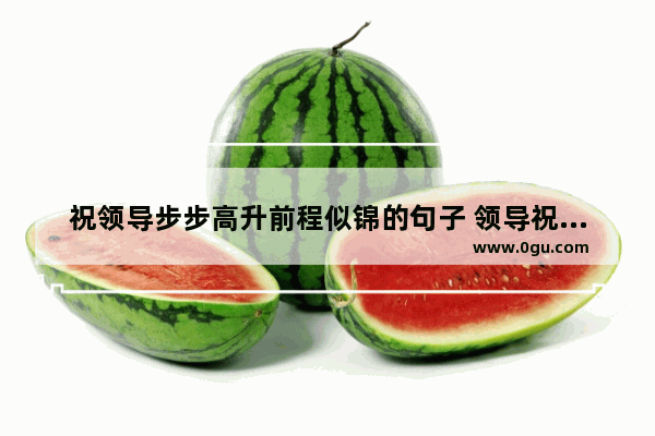 祝领导步步高升前程似锦的句子 领导祝福领导前程好的句子